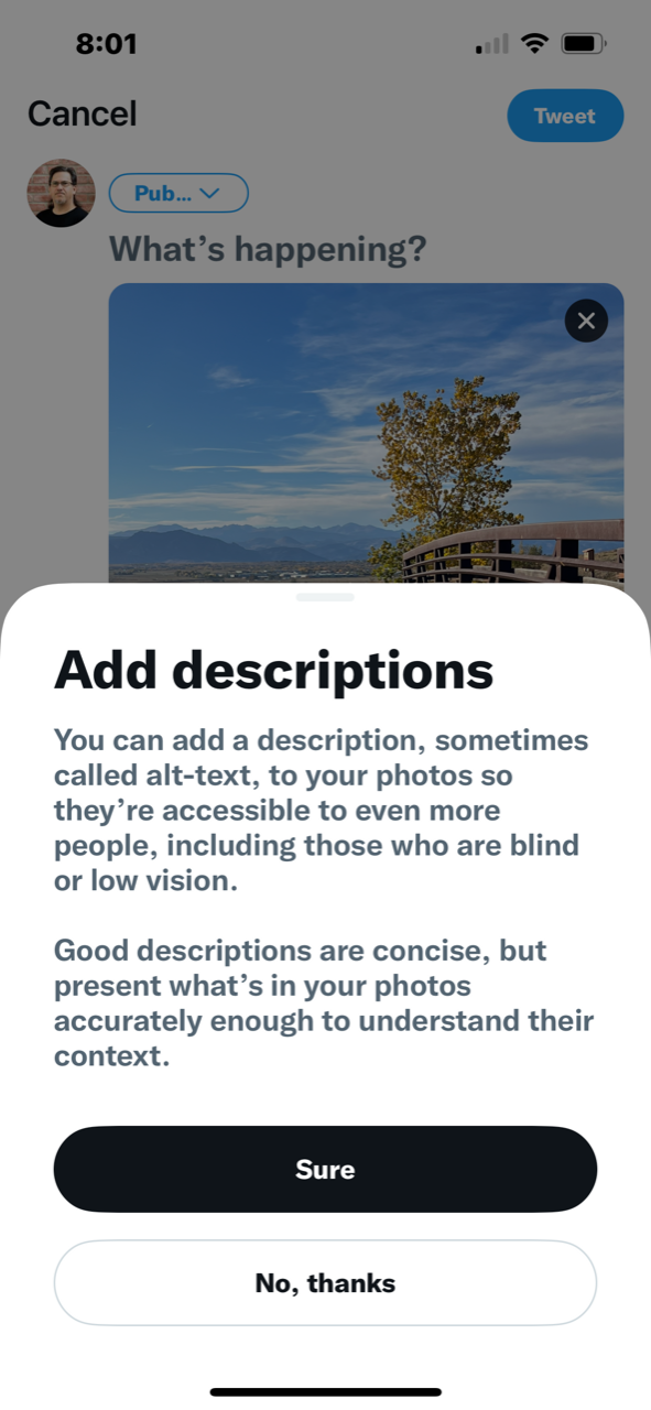 Making Your Social Media Posts Accessible To The Visually Impaired